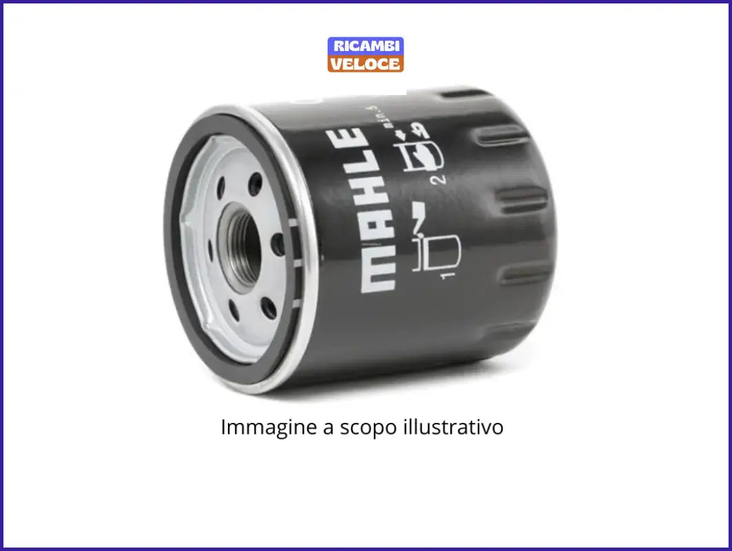 Filtro olio R1013 Veloce - Ricambi veloce